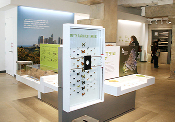 展覽展示設(shè)備吊裝搬運(yùn)上下樓、人工搬遷就位